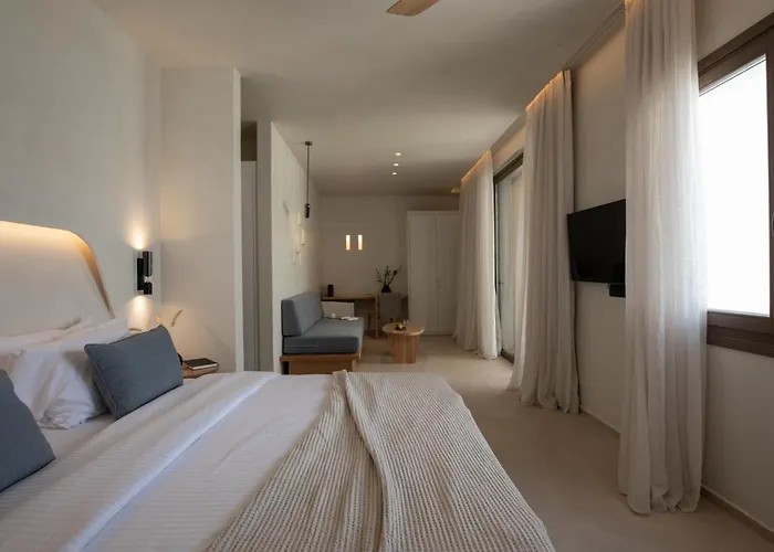 Nuca Mykonos ホテル 4*